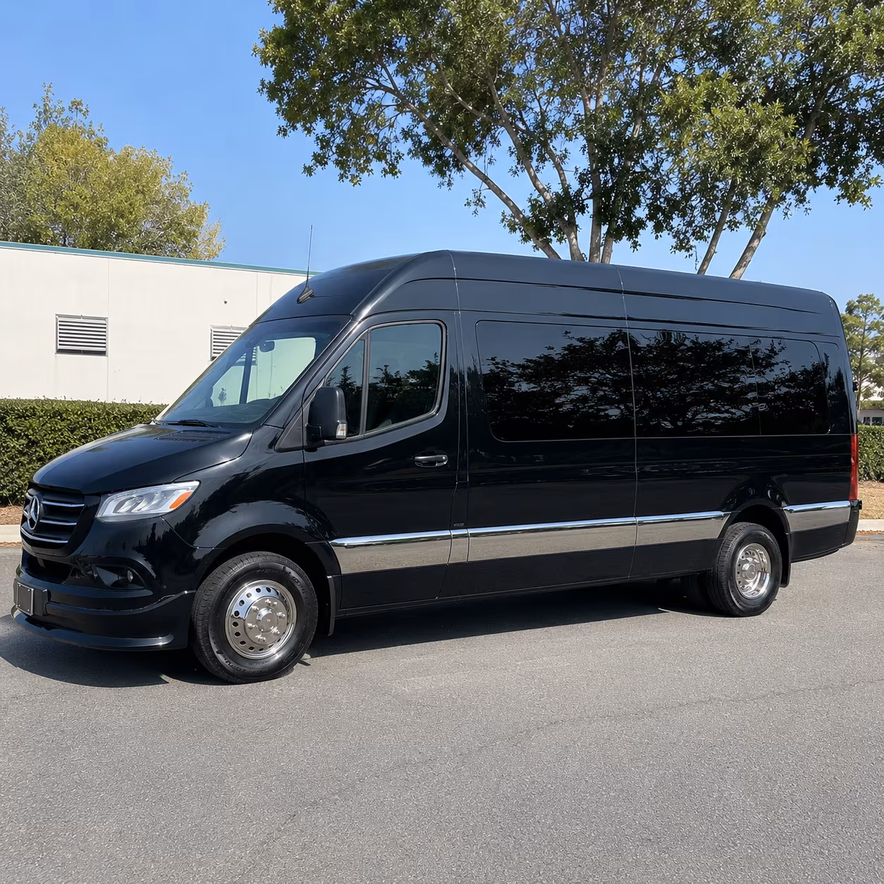 federal way birthday party transportation onboard seating