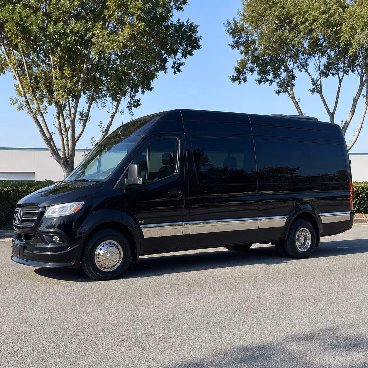federal way sprinter van with driver